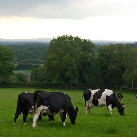 Ballindrum Farm B&B 阿赛 外观 照片
