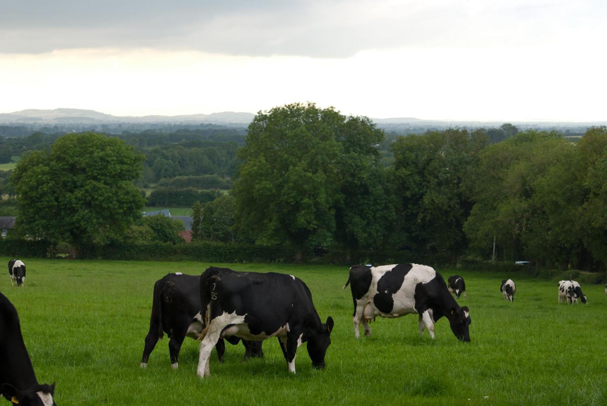 Ballindrum Farm B&B 阿赛 外观 照片
