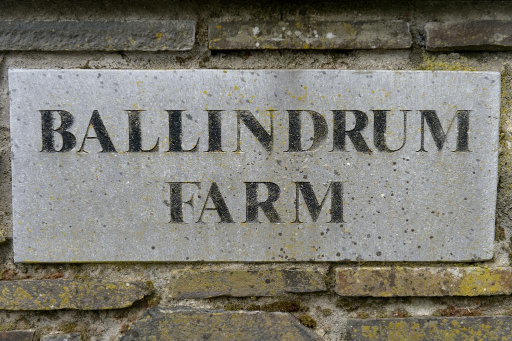 Ballindrum Farm B&B 阿赛 外观 照片